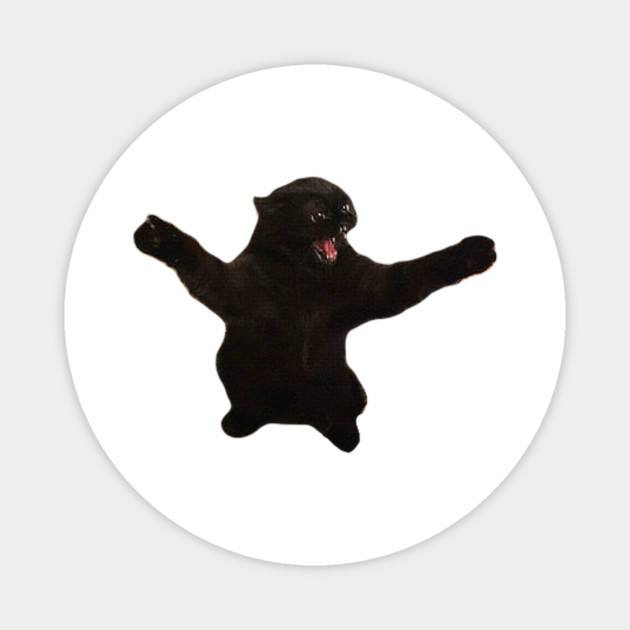 Angry Black Cat Meme Cat Magnet Teepublic