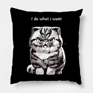 I Do What I Want --- Pillow