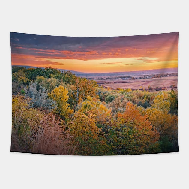 Colorful autumnal landscape Tapestry by psychoshadow