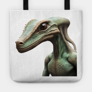 Hail Zorp the surveyor real design Tote