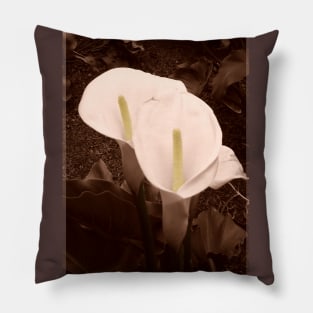 Sepia Calla Lily Pair Pillow