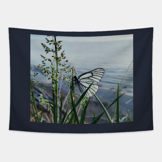 Butterfly of hope Tapestry by daghlashassan