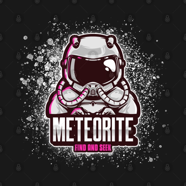 Meteorite Collector Astronaut "Find and Seek Meteorite" Meteorite by Meteorite Factory