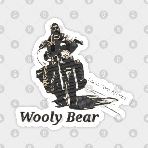 Papa Hash Apparel: Wooly Bear Magnet by Papa Hash's House of Art