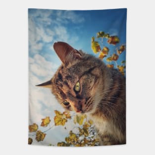 Cat outside portrait Tapestry