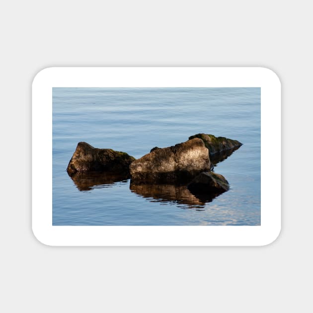 Rocks and Reflection, Bayfront Park Magnet by srosu