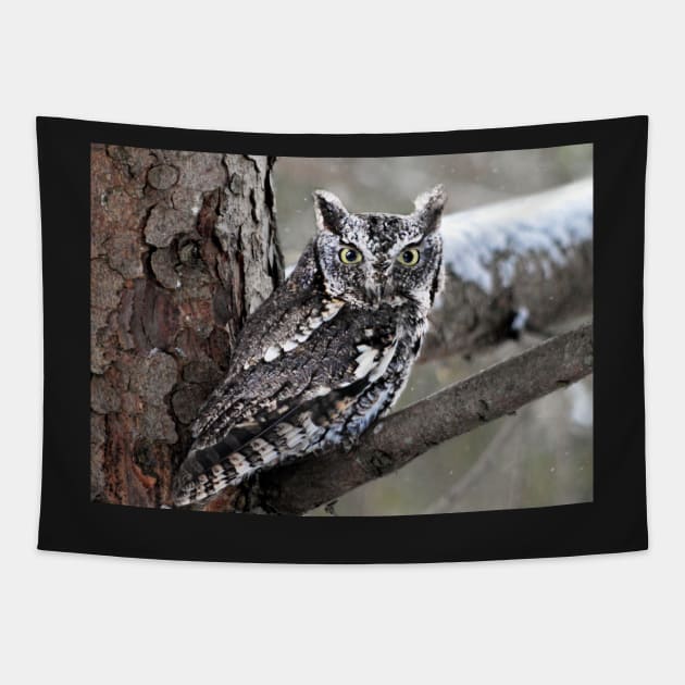 Screech Owl Tapestry by LaurieMinor