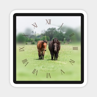 Two horses on pasture looking at camera Magnet