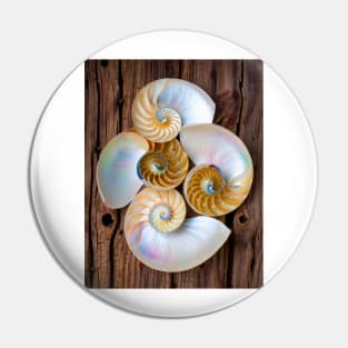 Natures Four Chambered Nautilus Seashells Pin