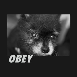 Obey T-Shirt