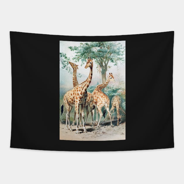 Victorian Giraffe Illustration Tapestry by Bugsponge