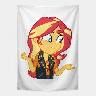 Sunset Shimmer was popular Tapestry