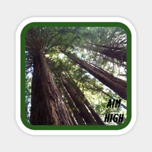 Aim High Giant Redwood Trees Magnet