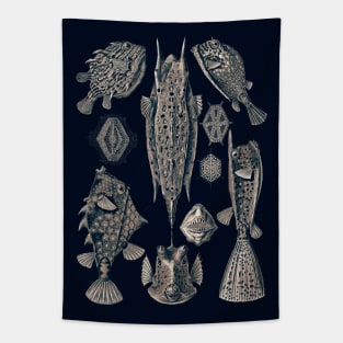 Ernst Haeckel Ostraciontes Fish Lavander Grey Tapestry