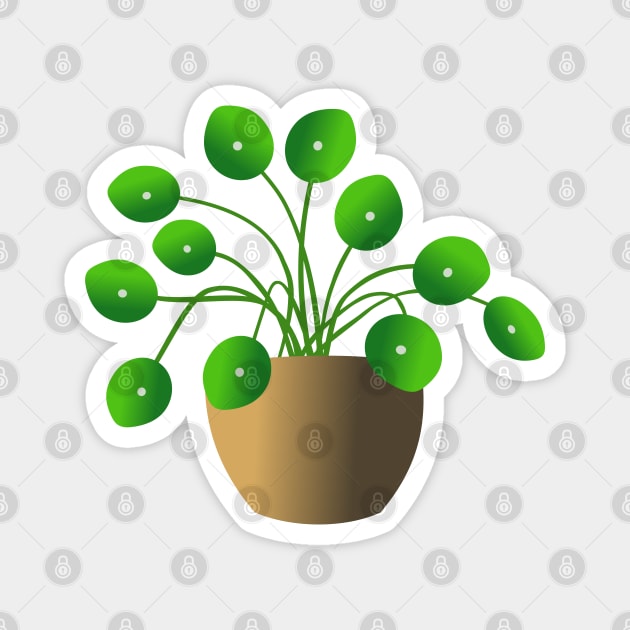 Chinese Money Plant Magnet by Janremi