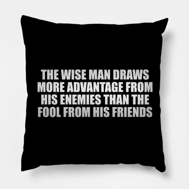 The wise man draws more advantage from his enemies than the fool from his friends Pillow by It'sMyTime