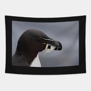 Razorbill coming back from fishing Tapestry