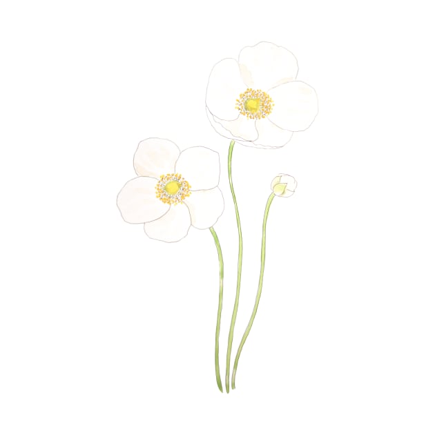 2 white anemone flowers  in and watercolor by colorandcolor