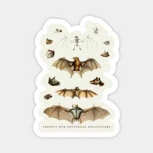 Protect our Nocturnal Pollinators Bat Lover Chiropterologist Gift Magnet