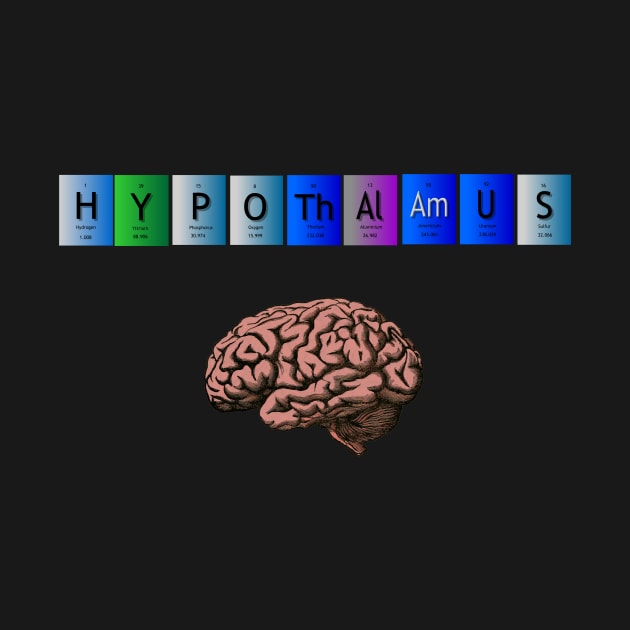 Hypothalamus brain period table by MiljanaVuckovic