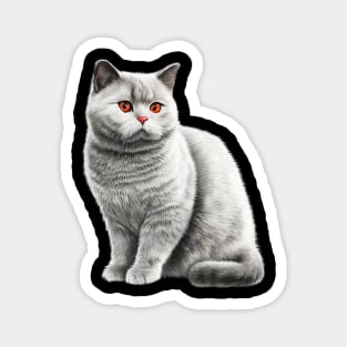 British Shorthair Cat, Love British Shorthair Cats Magnet