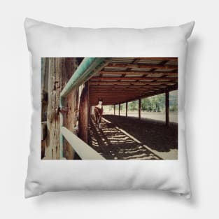 Horse stable. Canadian countryside with farm animal concept. Pillow