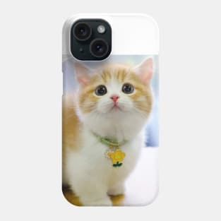 chubby chubby cats Phone Case