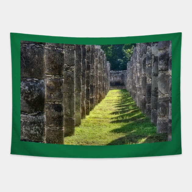 Ruins Tapestry by algill