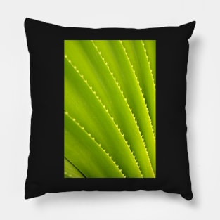 Spiky Plant Pillow