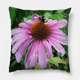 Bumblebee on Eastern Purple Coneflower Pillow