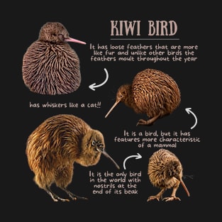 Animal Facts - Kiwi bird T-Shirt