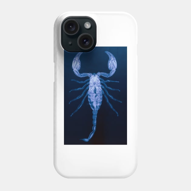 X-ray of the scorpion, Palamnaeus fulvipes (Z420/0010) Phone Case by SciencePhoto