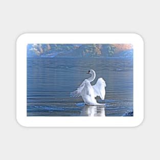 Swan Lake (Ullswater) Magnet