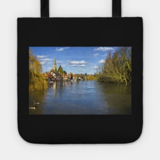 Gulls over Abingdon Tote