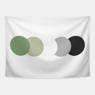 Aro | Muted | Subtle Pride Tapestry