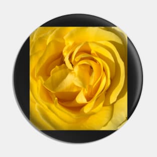 Yellow Rose of Texas Pin