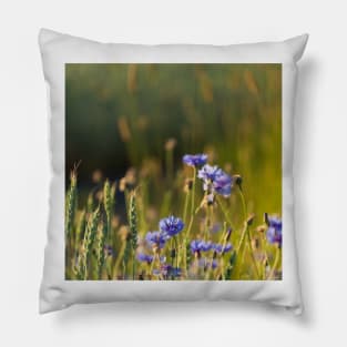 Cornflowers and common wheat Pillow