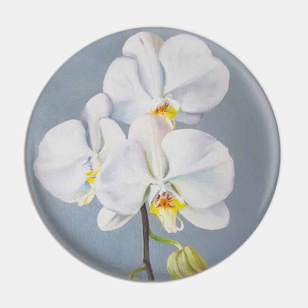 Phaelenopsis - moth orchid on blue Pin by EmilyBickell