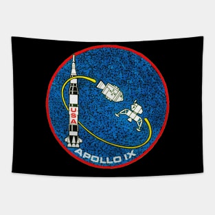 Black Panther Art - NASA Space Badge 108 Tapestry