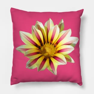 yellow red pink flower, blooming flowers, blossom, Pillow