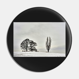 Warlies Park Winter Scene Pin