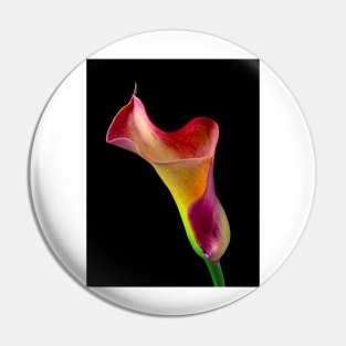 Wavy Colorful Calla lily Pin