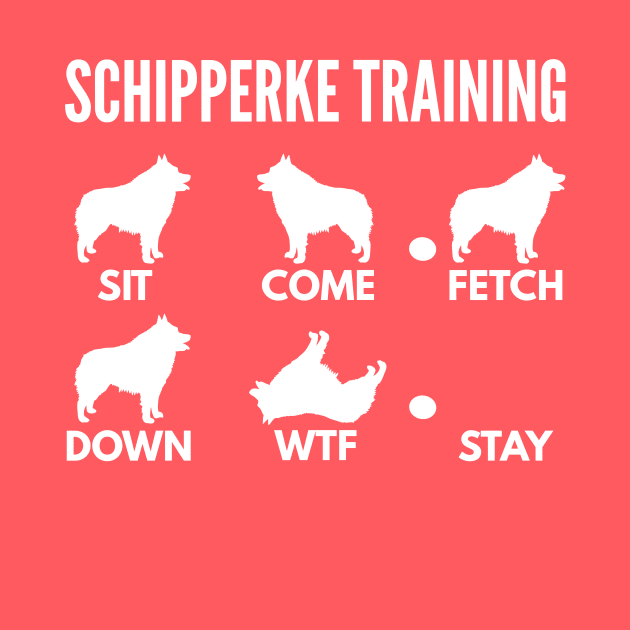 Schipperke Training Schipperke Dog Tricks by DoggyStyles