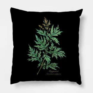 Witch herbs. Mugwort Pillow