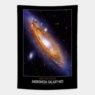 High Resolution Astronomy Andromeda Galaxy M31 Tapestry