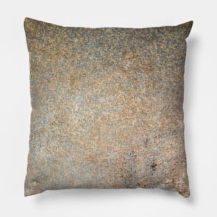Prehistoric graduated texture Pillow