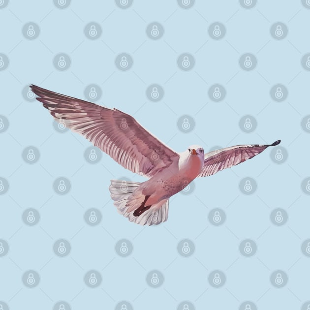 Pink Gull 2 - herring gull painting (no background) by EmilyBickell