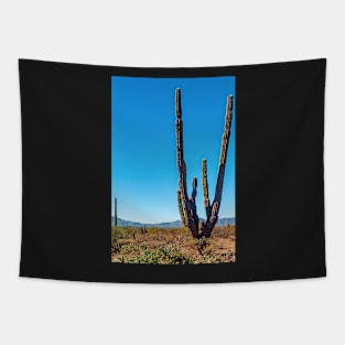 Cacti, Baja Sur, Mexico Tapestry