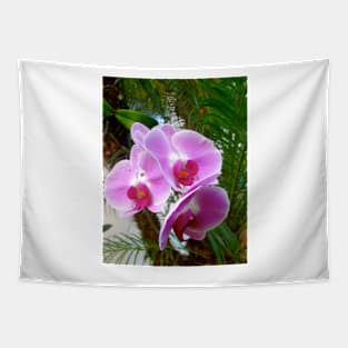 Lavender Orchid Tapestry