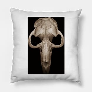 muskrat skull Pillow